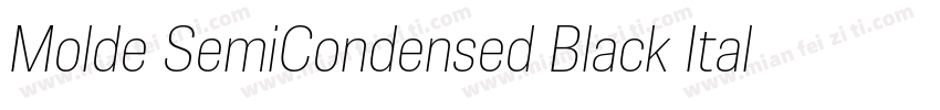 Molde SemiCondensed Black Italic字体转换